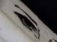 eye over you