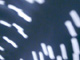 mirrorball